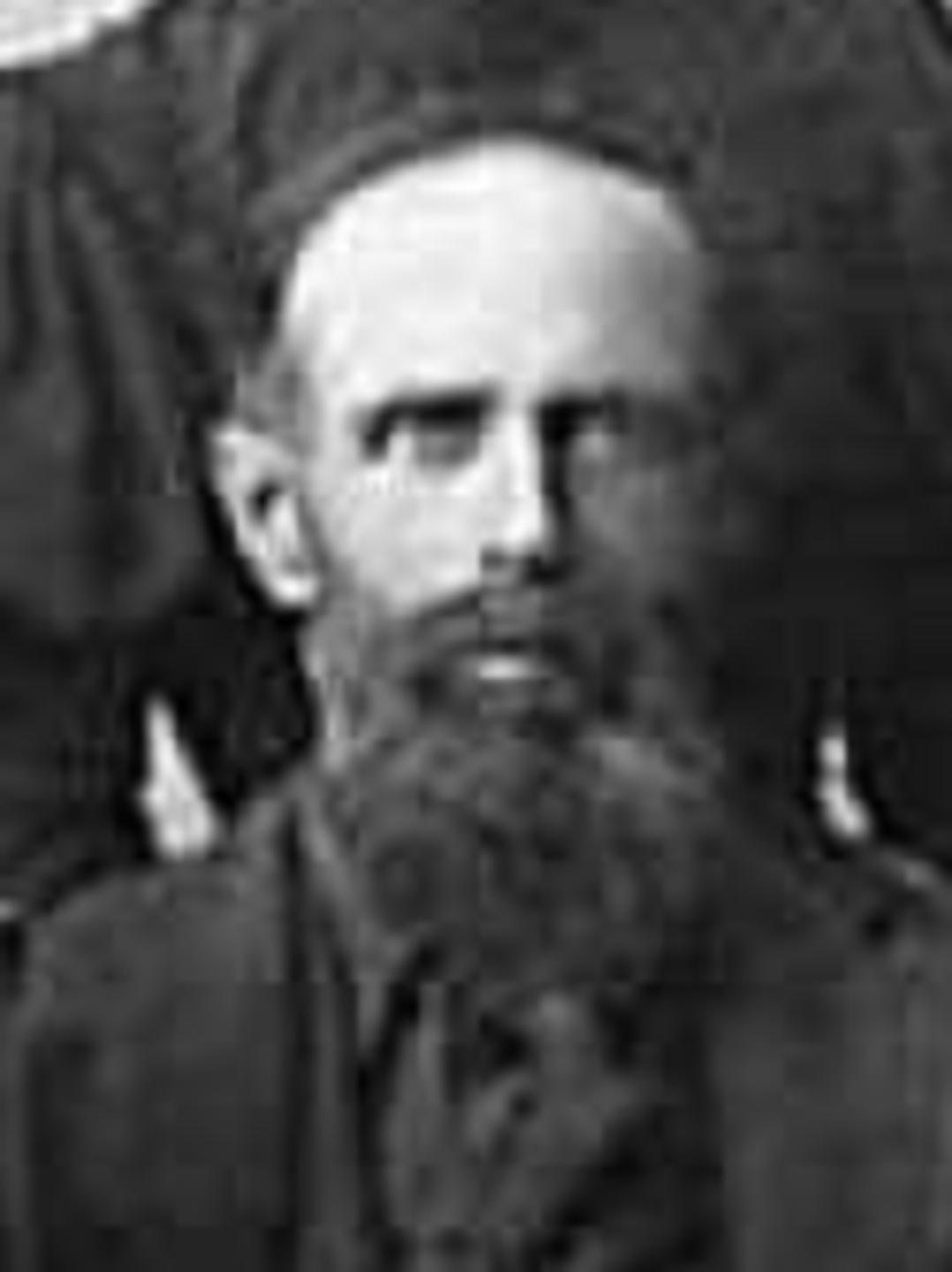 William Alma Richardson (1848 - 1923) Profile